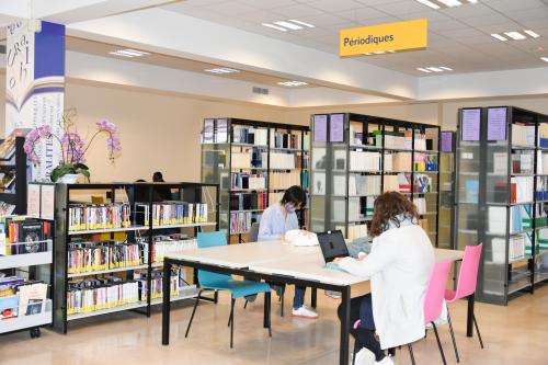 BU Lettres Arts Sciences Humaines